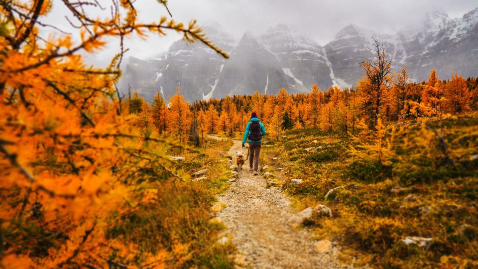 From Banff or Lake Louise: Moraine Lake & Larch Valley Hike - Final Words