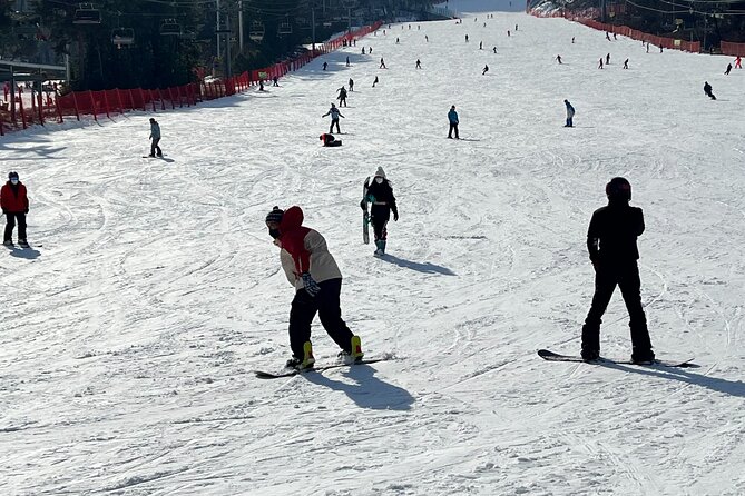 Full Day Ski Tour From Seoul to Yongpyong Ski Resort - Booking and Pricing Information