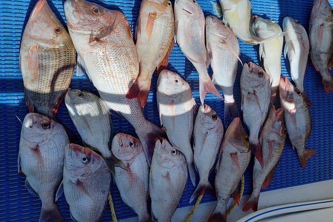 Geraldton Fishing Charter - Targets and Fishing Techniques