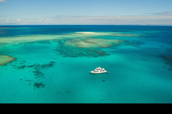 Great Barrier Reef Dive and Snorkel Cruise From Mission Beach - About the Cruise Operator