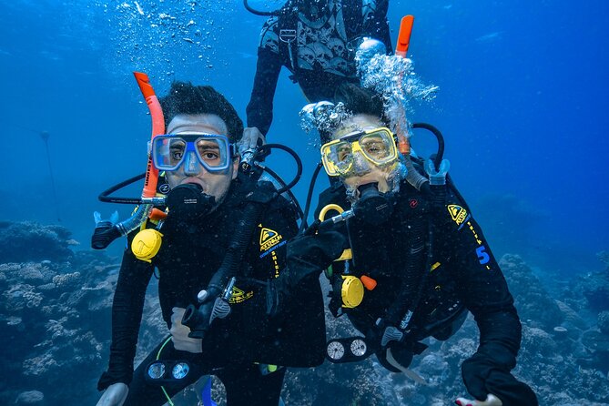 Great Barrier Reef With Cultural Guides-Dreamtime Dive & Snorkel - Genuine Customer Reviews and Ratings