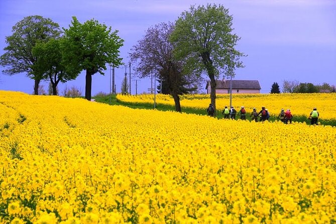 Guided Week Bike Tour in France, Burgundy Wine Region - Tour Highlights