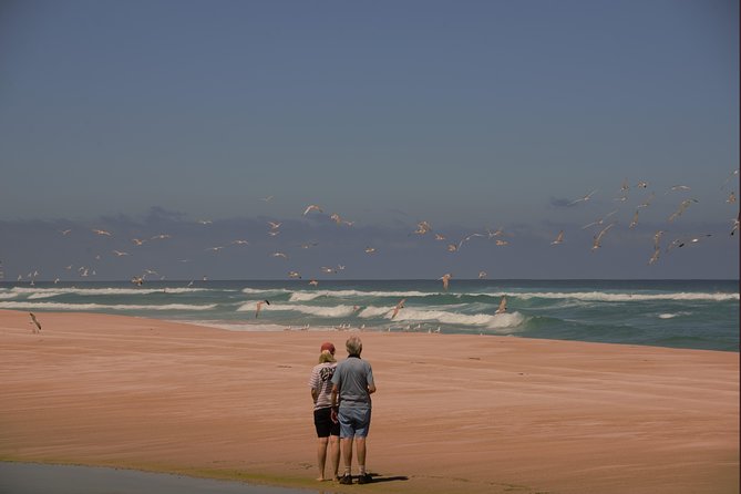 Half-Day Pemberton National Parks Beach and Forest Eco Adventure - Savor a Delicious Lunch and Tea