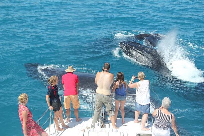 Half-Day Whale Watching Sunset Cruise From Broome - Testimonials and Ratings