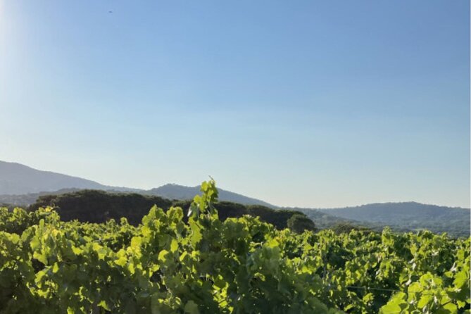 Horse Riding in the Vineyards of Ramatuelle Wine Tasting - Directions