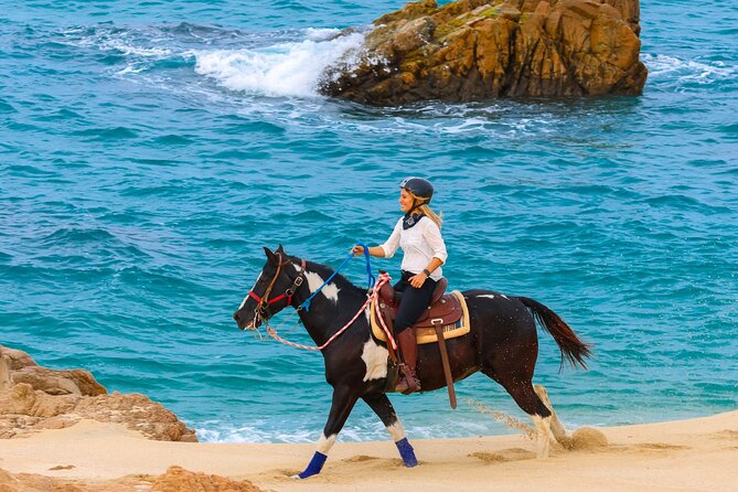 Horseback Riding Beach and Desert in Cabo by Cactus Tours Park - Traveler Reviews