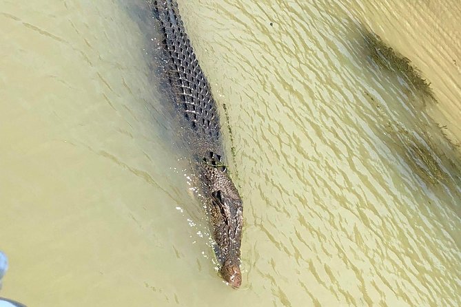 Kakadu National Park Scenic Flight &Yellow Water Cruise - Cancellation and Refund Policy