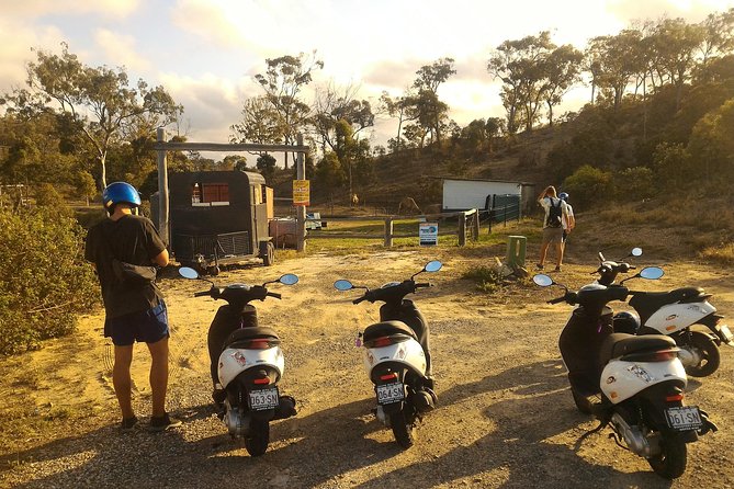 Kangaroo & Sunset Scooter Tour - Getting Ready to Ride