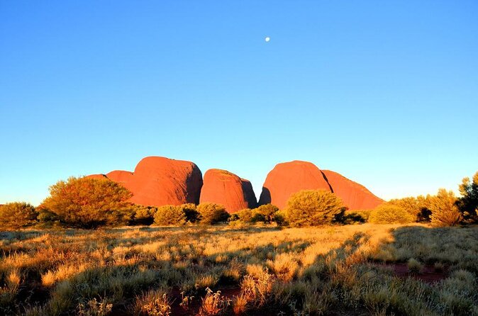 Kata Tjuta Small-Group Tour Including Sunrise and Breakfast - Reviews and Ratings Summary