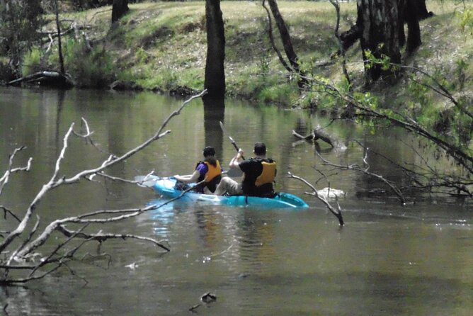 Kayak Self-Guided Tour on the Campaspe River Elmore, 30 Minutes From Bendigo - Safety Guidelines and Rules