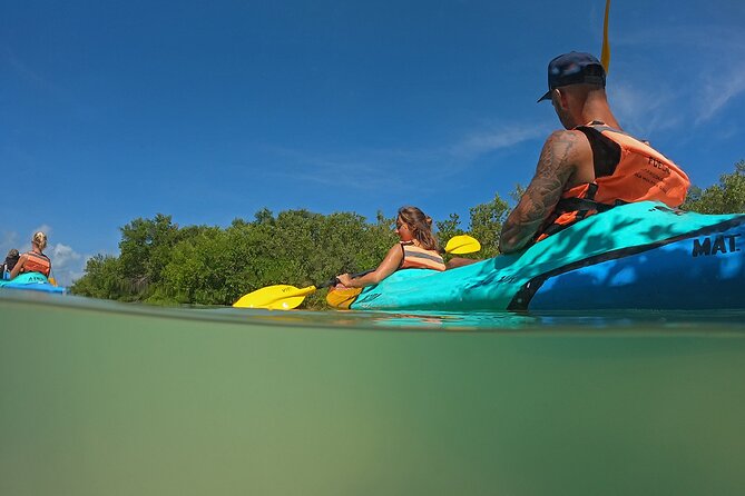 Kayaking Tour Through the Mangroves in Isla Holbox - Tour Pricing and Inclusions