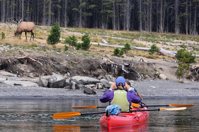 Lake Yellowstone Half Day Kayak Tours Past Geothermal Features - Customer Reviews