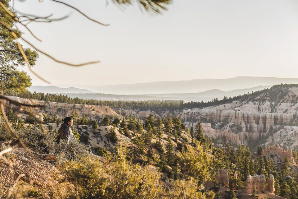 Las Vegas: Grand Canyon National Park South Rim Guided Tour - Pickup and Drop-off Locations