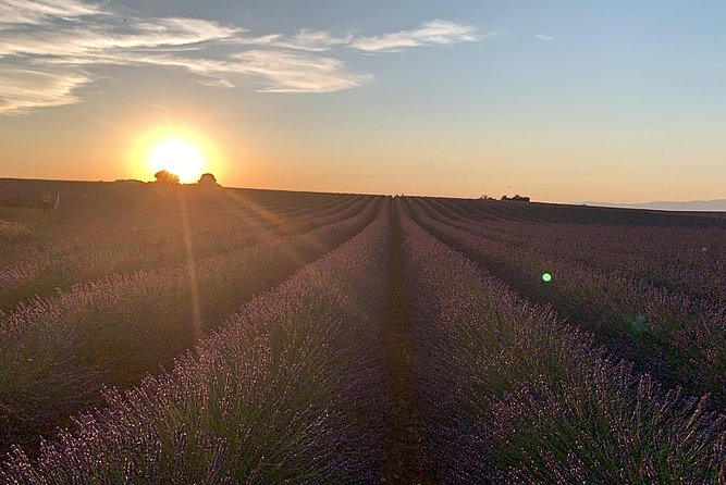 Lavender Fields Visit With Private Transportation  - Marseille - Final Words