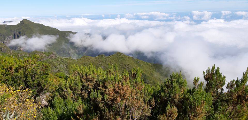 Madeira: Private Guided Achadas Teixeira - Pico Ruivo PR1.1 - Directions