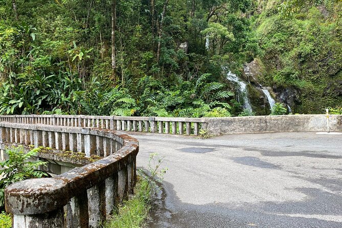 Maui by Storm: Epic Private Luxury Road to Hana Adventure Tour - Guide Recognition and Tour Inclusions