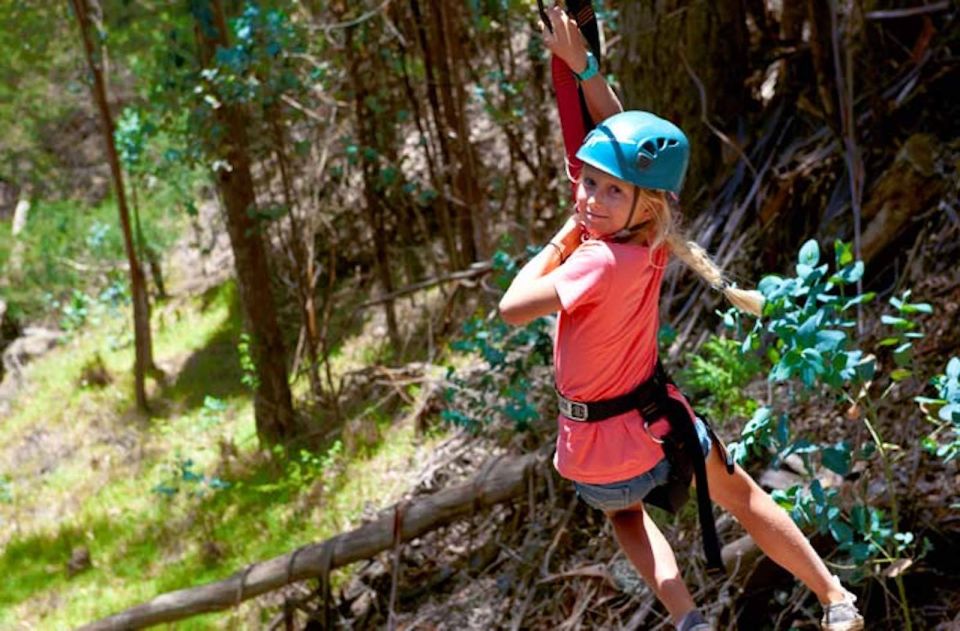 Maui: Haleakala 5-Line Zipline Adventure - Safety and Requirements