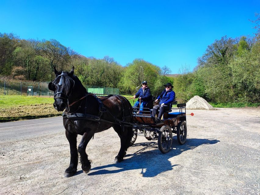 MENTHEVILLE : Horse-Drawn Carriage Ride in the Countryside - Important Safety Considerations