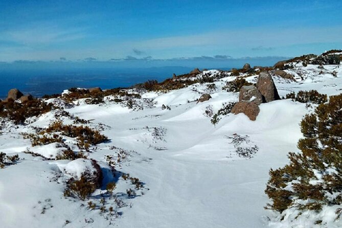 Mt Wellington Ultimate Experience Tour From Hobart - Reviews and Testimonials