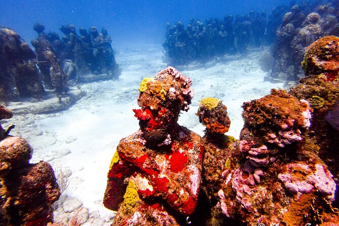 MUSA Museum and Colorful Reef 2 Tank Dive-Certified Divers - Safety and Weather Considerations