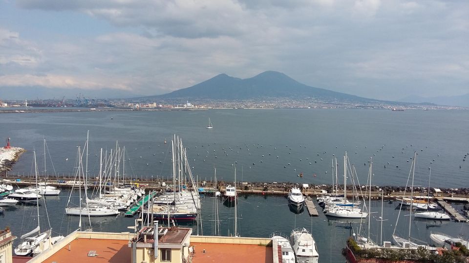 Napoli: Day Trip Transfer Napoli to Pompeii & Stop for Pizza - Important Restrictions