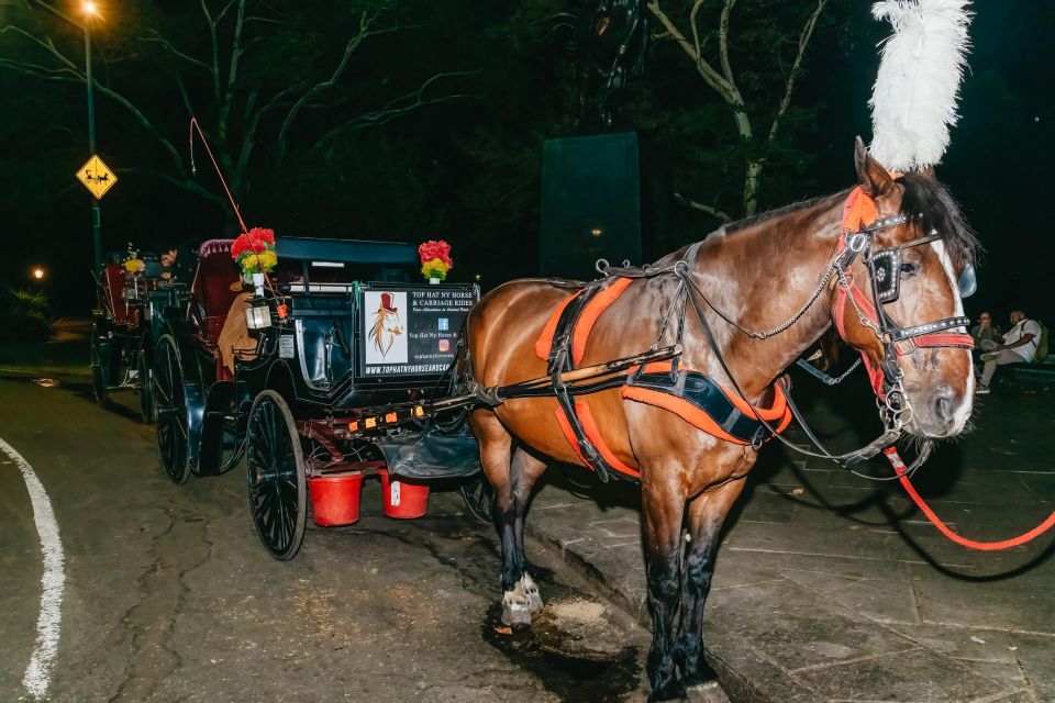 NYC MOONLIGHT HORSE CARRIAGE RIDE Through Central Park - Location Information