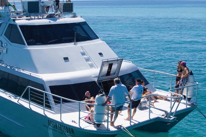 Ocean Freedom Great Barrier Reef Luxury Snorkel and Dive Cruise - Upgrading Your Experience