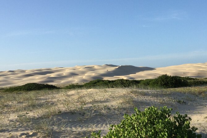 Port Stephens, Beach and Sand Dune 4WD Tag-Along Tour - Important Tour Information