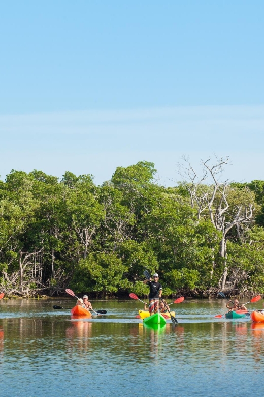 Premium Day Sail, Snorkel &, Kayak With Lunch - Reservation Details