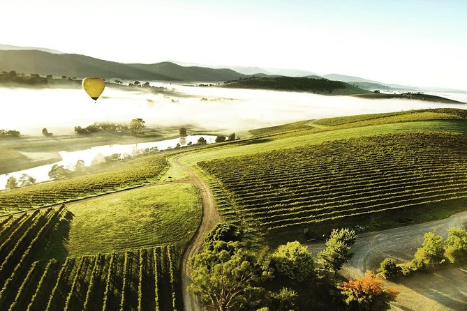 [PRIVATE TOUR] Yarra Valley Winery | Day Tour - Booking and Pricing Information