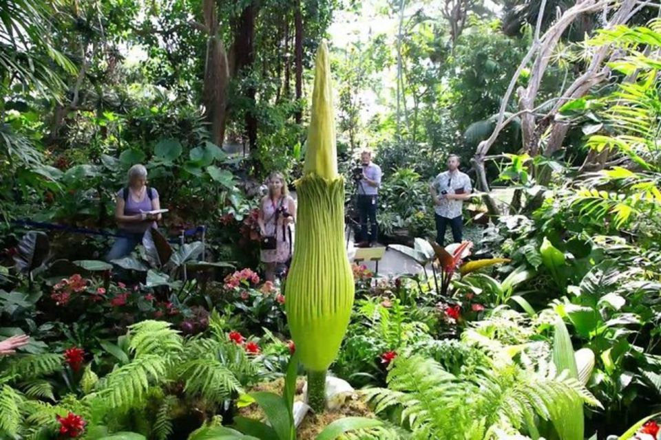 Private Vancouver Aquarium and Bloedel Conservatory Tour - Common questions