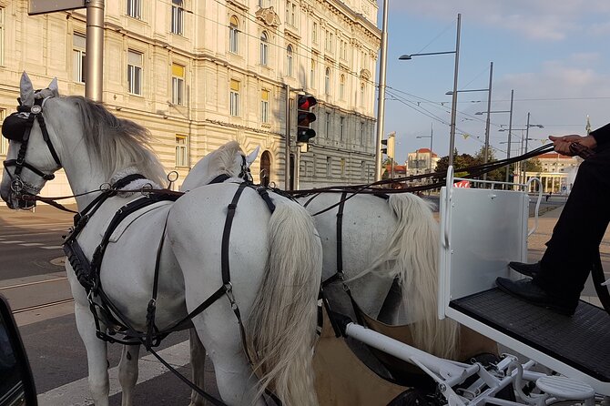 Private Vienna Sightseeing Tour Matching to Personal Interests - Common questions