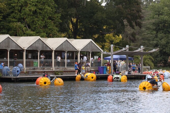 Puffing Billy And Phillip Island Penguin Parade Bus Tour - Reviews and Ratings Summary