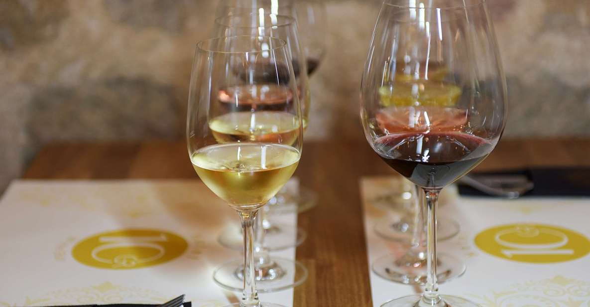 Rhodes: Private Wine Tasting Experience for Beginners - Sommelier Insights