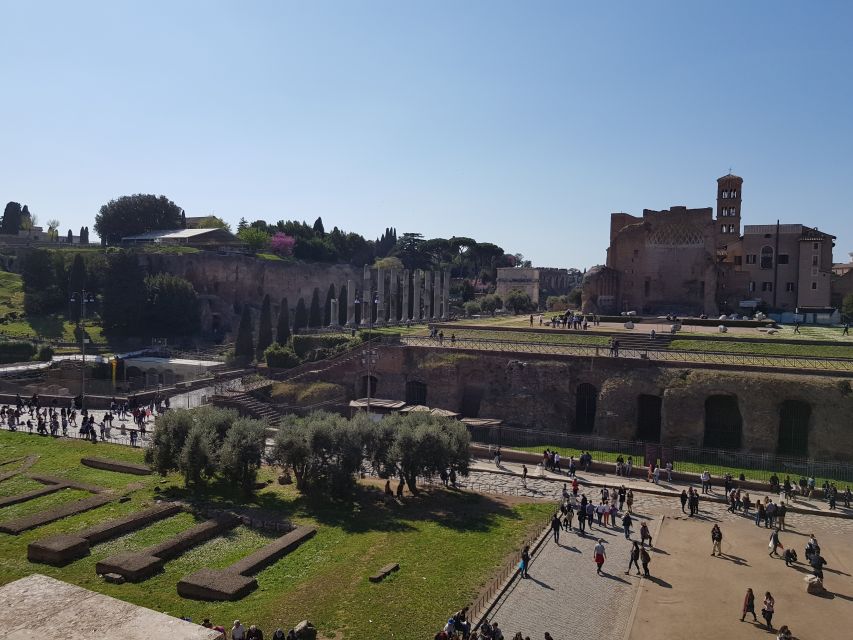 Rome: Fast-Track Private Colosseum Arena & Palatine Hill - Common questions