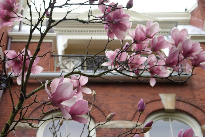 Savannah Historic District Walking Tour - Important Women