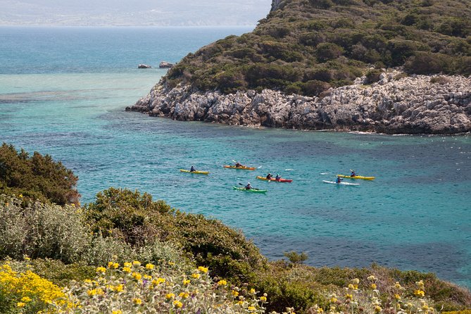 Sea Kayaking in Navarino Bay - Indigenous Wildlife Spotting