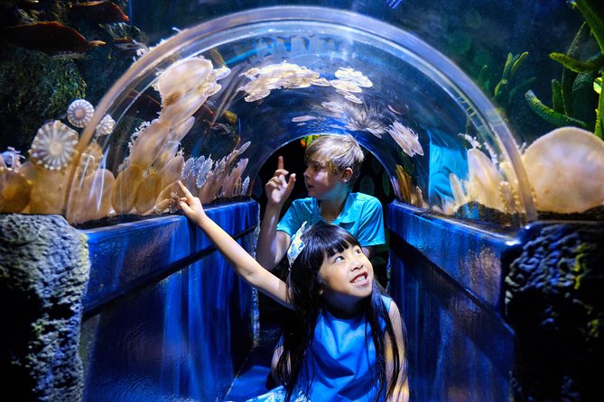 SEA LIFE Melbourne Aquarium Admission Ticket - What to Expect on Your Visit