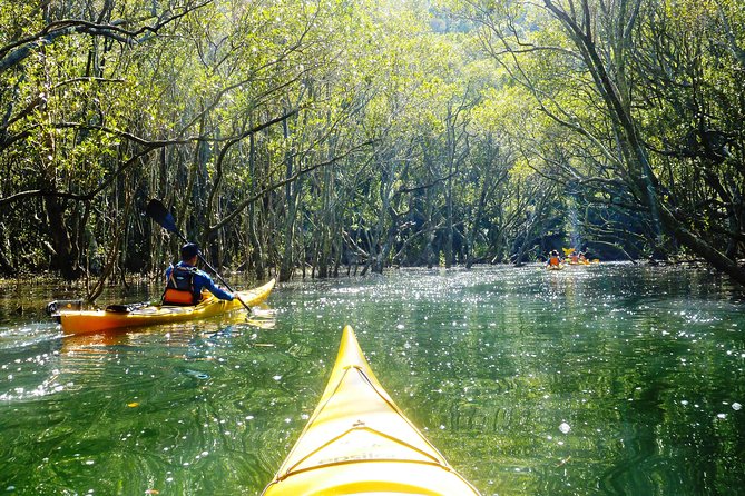 Self-Guided Sydney Middle Harbour Kayak 3 Hour Tour by Double Kayak - Getting There and Parking Tips