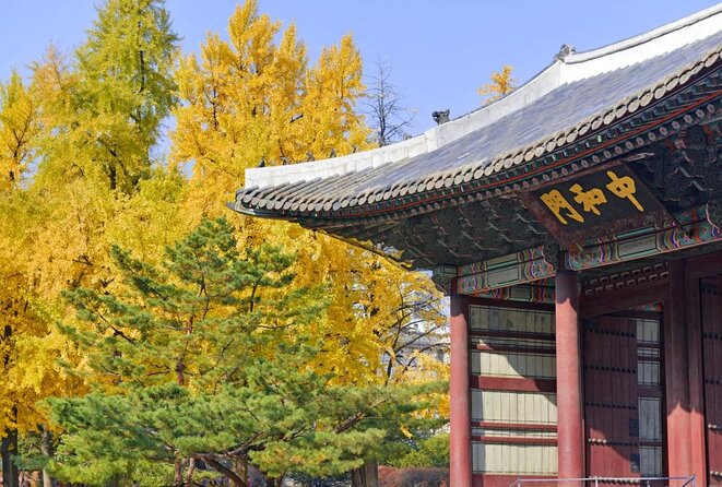 Seoul : Deoksugung Palace Half Day Walking Tour - Preparing for Your Walking Tour