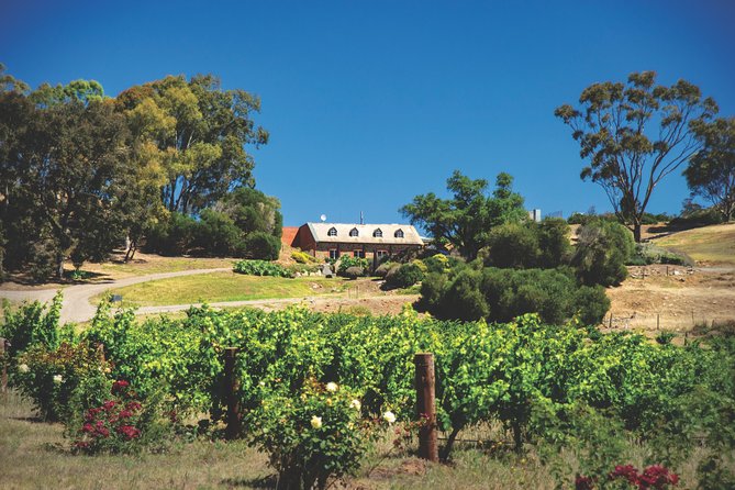 Small Tour Barossa Valley Voyager Tour From Adelaide - Important Tour Information