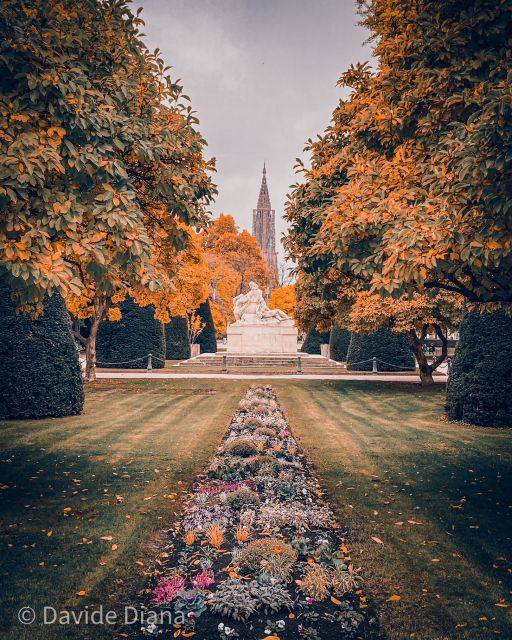 Strasbourg: Guided Historical Neighborhoods Walking Tour - Meeting Point and Requirements