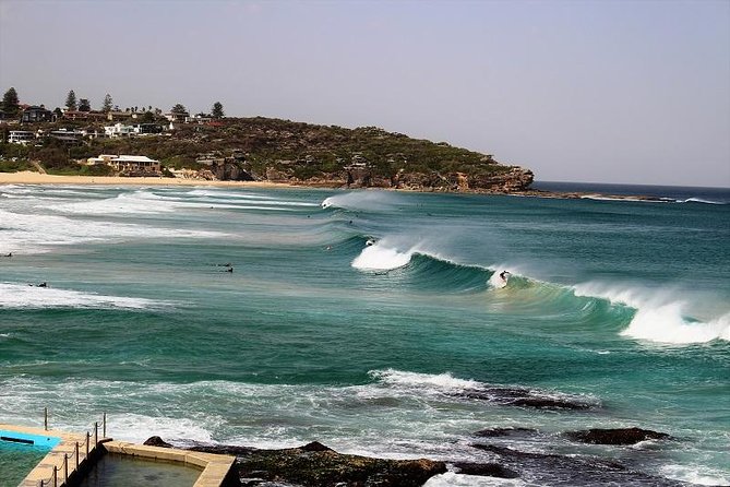 Sydney Harbour, Manly and Palm Beach, National Park Private Tour - Experience the Best of Sydneys Coast