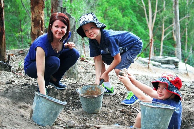 Tamborine Mountain Daily Service, Treetop Challenge and Thunderbird Park - Essential Tour Information