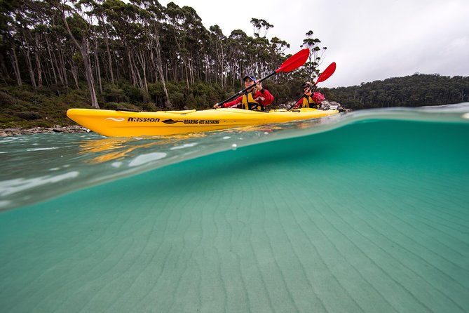 Tasman Peninsula Full Day Kayaking Tour - Getting Ready for the Adventure