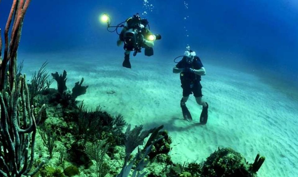 Tenerife: SSI Advanced Adventurer Diving Course - Common questions