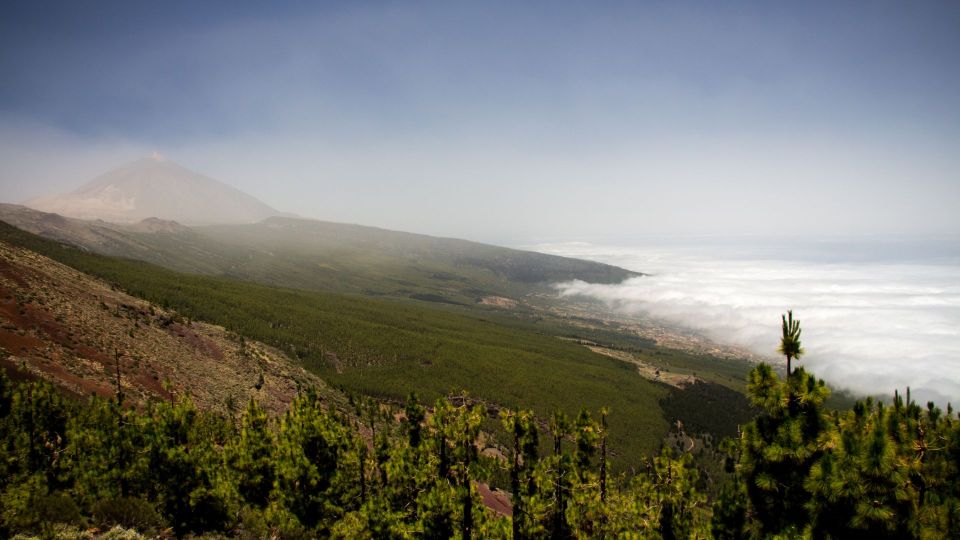 Tenerife: Teide National Park and Dolphins Sailboat Tour - Directions