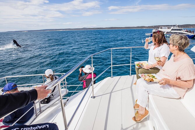 Three-Quarter Day Hervey Bay Premium Whale Watching Cruise - Reviews and Testimonials