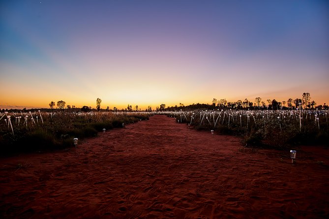 Uluru (Ayers Rock) Field of Light Sunrise Tour - Cancellation and Refund Policy