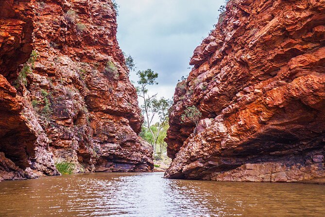 Uluru (Ayers Rock) to Alice Springs One-Way Shuttle - Essential Booking Information